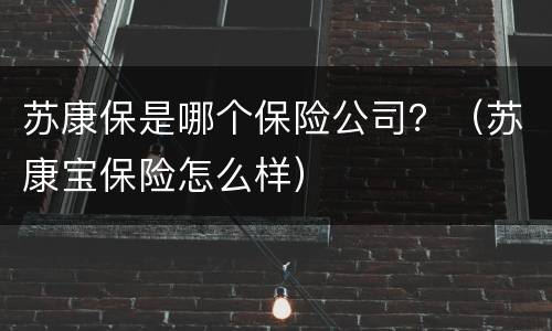 苏康保是哪个保险公司？（苏康宝保险怎么样）