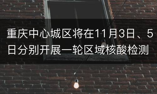重庆中心城区将在11月3日、5日分别开展一轮区域核酸检测