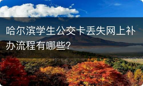 哈尔滨学生公交卡丢失网上补办流程有哪些？
