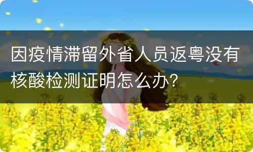 因疫情滞留外省人员返粤没有核酸检测证明怎么办？