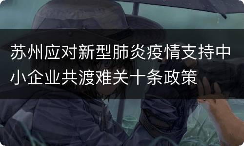 苏州应对新型肺炎疫情支持中小企业共渡难关十条政策