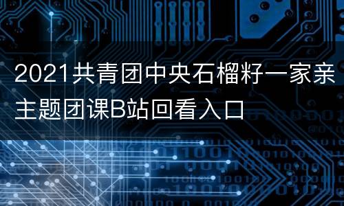 2021共青团中央石榴籽一家亲主题团课B站回看入口