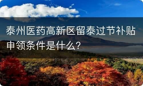 泰州医药高新区留泰过节补贴申领条件是什么？