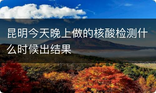 昆明今天晚上做的核酸检测什么时候出结果