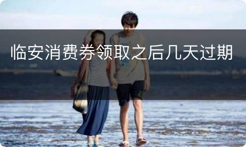 临安消费券领取之后几天过期