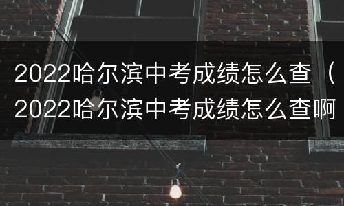 2022哈尔滨中考成绩怎么查（2022哈尔滨中考成绩怎么查啊）