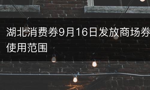 湖北消费券9月16日发放商场券使用范围