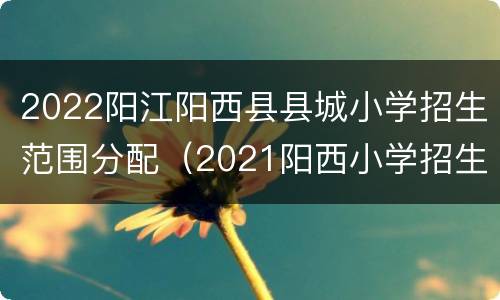 2022阳江阳西县县城小学招生范围分配（2021阳西小学招生平台）