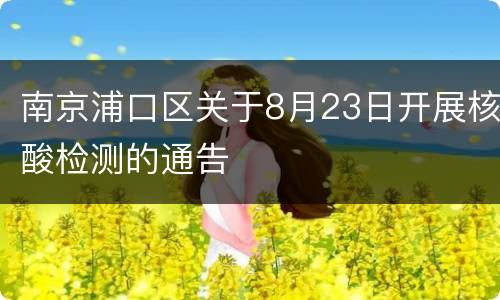南京浦口区关于8月23日开展核酸检测的通告