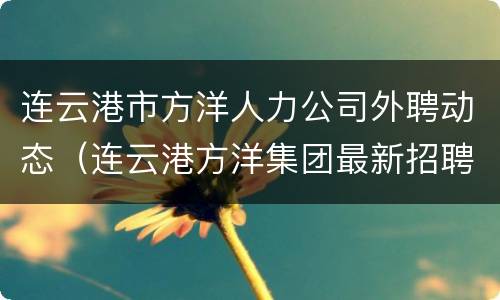 连云港市方洋人力公司外聘动态（连云港方洋集团最新招聘信息）