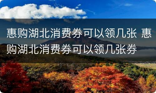 惠购湖北消费券可以领几张 惠购湖北消费券可以领几张券