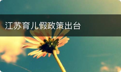 江苏育儿假政策出台