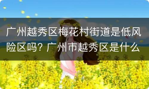 广州越秀区梅花村街道是低风险区吗? 广州市越秀区是什么风险区