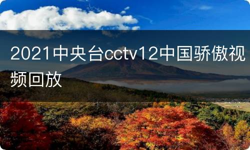 2021中央台cctv12中国骄傲视频回放