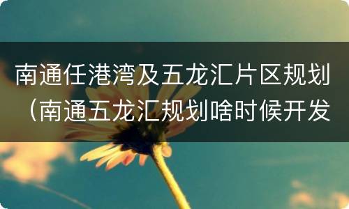 南通任港湾及五龙汇片区规划（南通五龙汇规划啥时候开发）