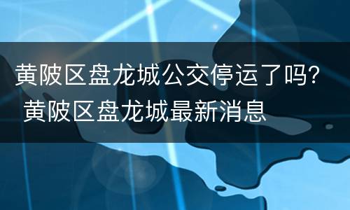 黄陂区盘龙城公交停运了吗？ 黄陂区盘龙城最新消息