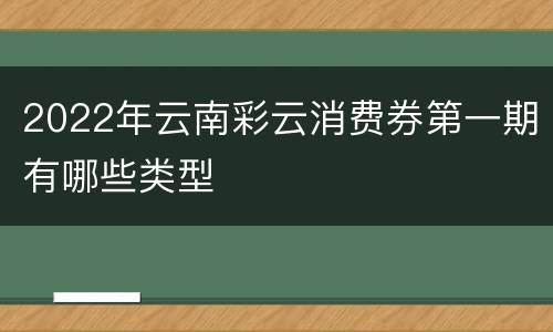 2022年云南彩云消费券第一期有哪些类型