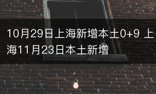 10月29日上海新增本土0+9 上海11月23日本土新增