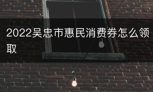 2022吴忠市惠民消费券怎么领取