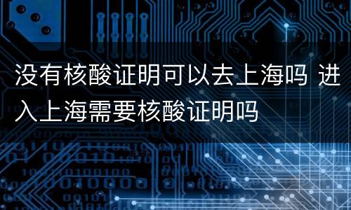 没有核酸证明可以去上海吗 进入上海需要核酸证明吗