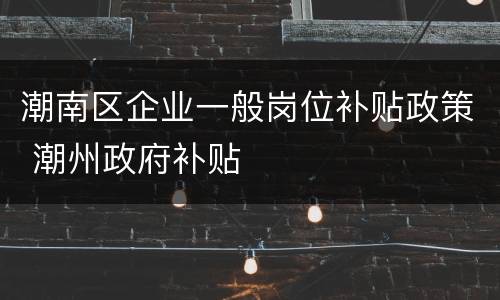 潮南区企业一般岗位补贴政策 潮州政府补贴