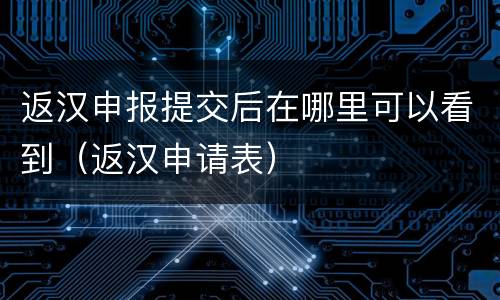 返汉申报提交后在哪里可以看到（返汉申请表）