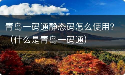 青岛一码通静态码怎么使用？（什么是青岛一码通）