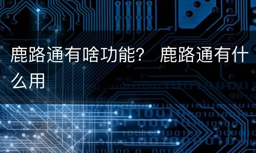 鹿路通有啥功能？ 鹿路通有什么用
