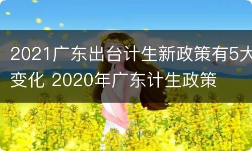 2021广东出台计生新政策有5大变化 2020年广东计生政策