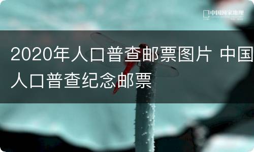 2020年人口普查邮票图片 中国人口普查纪念邮票