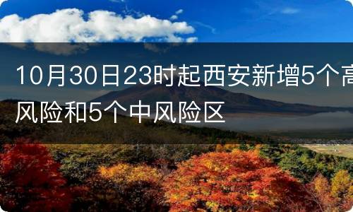 10月30日23时起西安新增5个高风险和5个中风险区