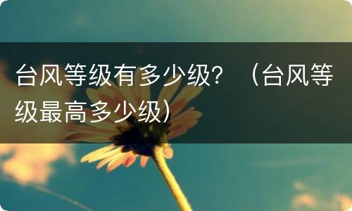 台风等级有多少级？（台风等级最高多少级）