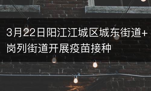 3月22日阳江江城区城东街道+岗列街道开展疫苗接种