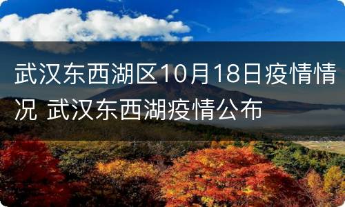 武汉东西湖区10月18日疫情情况 武汉东西湖疫情公布