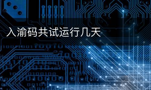 入渝码共试运行几天