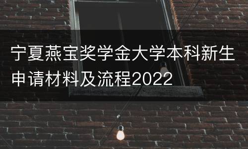 宁夏燕宝奖学金大学本科新生申请材料及流程2022