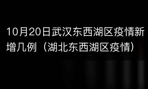 10月20日武汉东西湖区疫情新增几例（湖北东西湖区疫情）