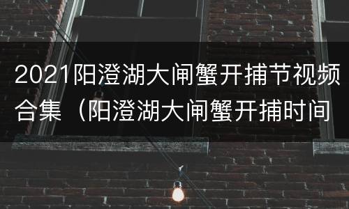 2021阳澄湖大闸蟹开捕节视频合集（阳澄湖大闸蟹开捕时间2020）