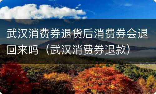 武汉消费券退货后消费券会退回来吗（武汉消费券退款）