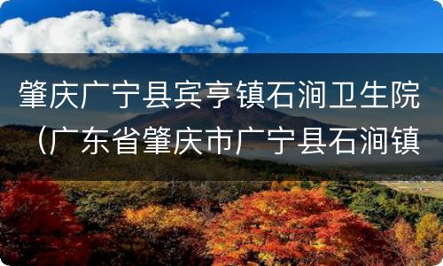 肇庆广宁县宾亨镇石涧卫生院（广东省肇庆市广宁县石涧镇）