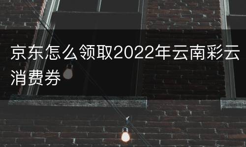 京东怎么领取2022年云南彩云消费券