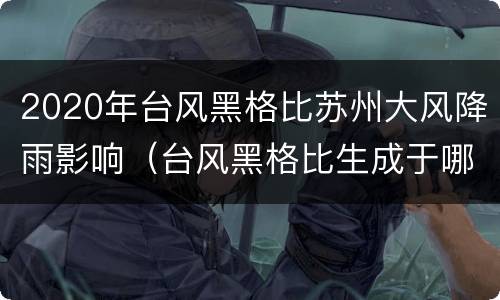 2020年台风黑格比苏州大风降雨影响（台风黑格比生成于哪个大洋）
