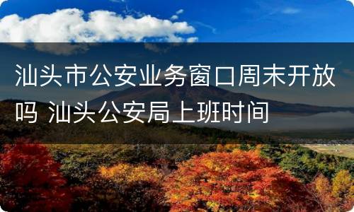 汕头市公安业务窗口周末开放吗 汕头公安局上班时间