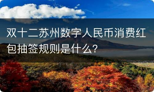 双十二苏州数字人民币消费红包抽签规则是什么？