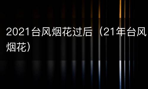 2021台风烟花过后（21年台风烟花）