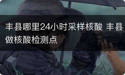 丰县哪里24小时采样核酸 丰县做核酸检测点