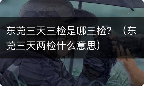 东莞三天三检是哪三检？（东莞三天两检什么意思）