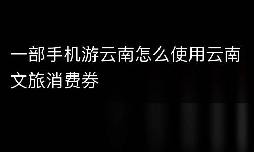 一部手机游云南怎么使用云南文旅消费券