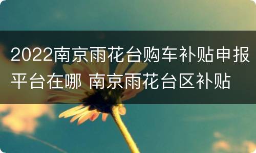 2022南京雨花台购车补贴申报平台在哪 南京雨花台区补贴