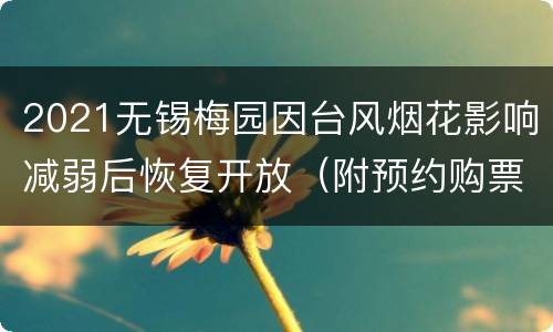 2021无锡梅园因台风烟花影响减弱后恢复开放（附预约购票通道）